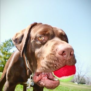 Meet your Posher, Hayley